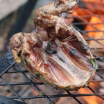Local Food Manitoulin community photo 8