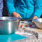 Local Food Manitoulin community photo 19