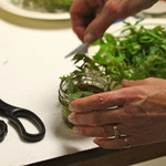 Local Food Manitoulin community photo 29