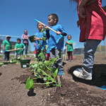 Local Food Manitoulin community photo 42
