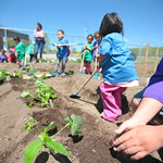 Local Food Manitoulin community photo 43