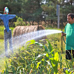 Local Food Manitoulin community photo 48