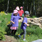 Local Food Manitoulin community photo 52