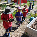 Local Food Manitoulin community photo 53